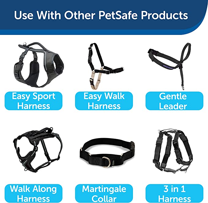 PetSafe Nylon - Traditional Leash/Black
