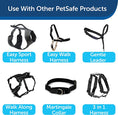 Load image into Gallery viewer, PetSafe Nylon - Traditional Leash/Black
