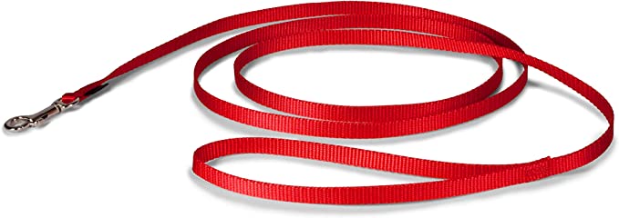 PetSafe Nylon - Traditional Style Leash/ RED