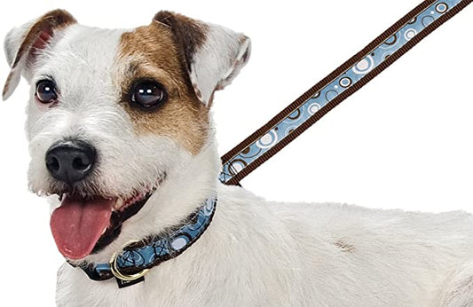 Premier Pet Fido Finery Leash / Brown with baby blue background with white circles
