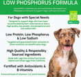 Load image into Gallery viewer, SquarePet VFS Low Phosphorus Formula Dry Dog Food
