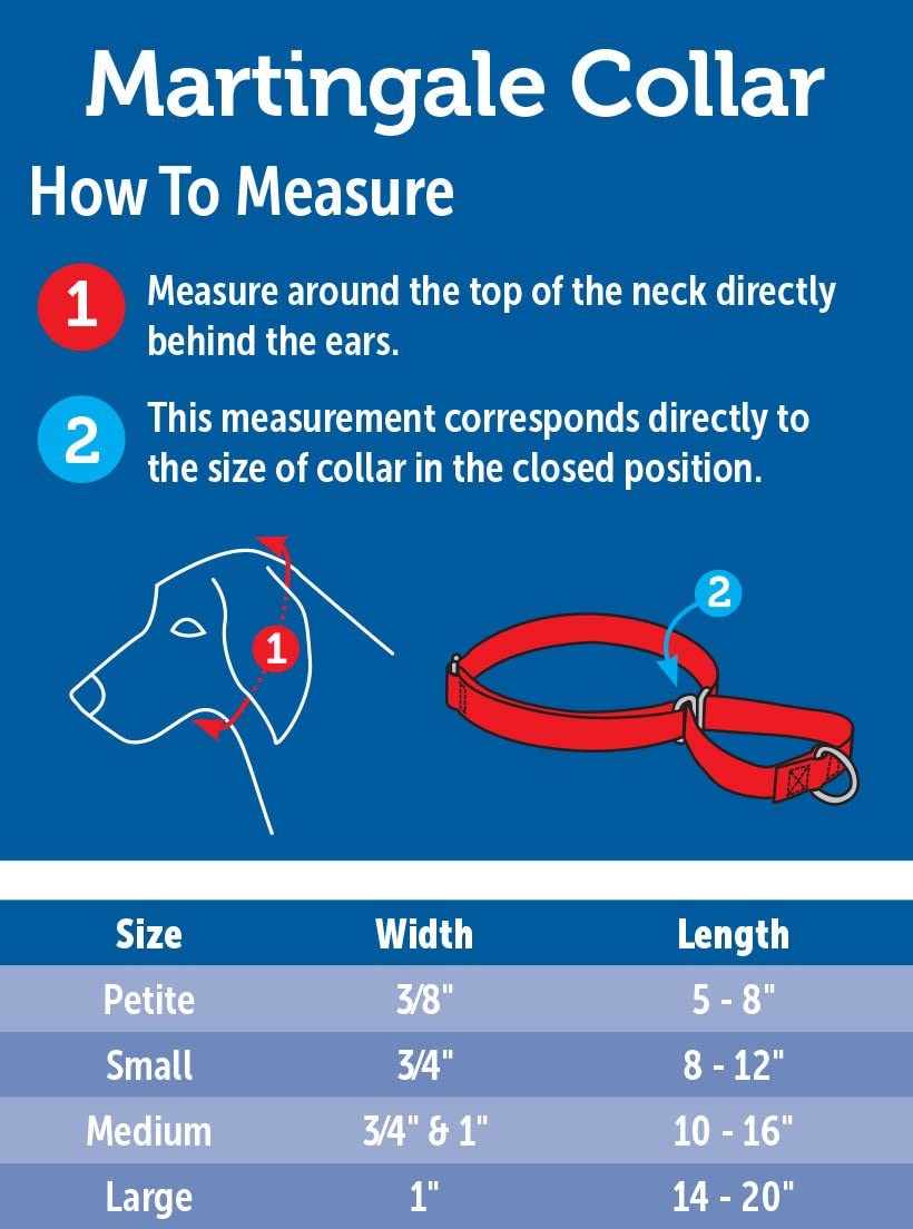 Adjustable Martingale Collar/ Red with white puppies