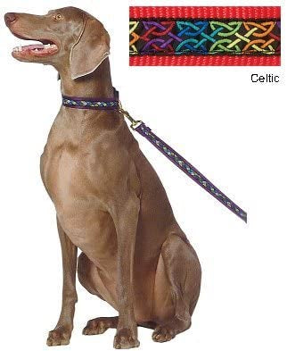 A dog sitting on a colorful Celtic-patterned leash, showcasing vibrant designs against a neutral background.