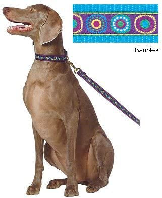 A dog siting and emphasizing the Premier Adjustable Martingale Collar Blaubles.
