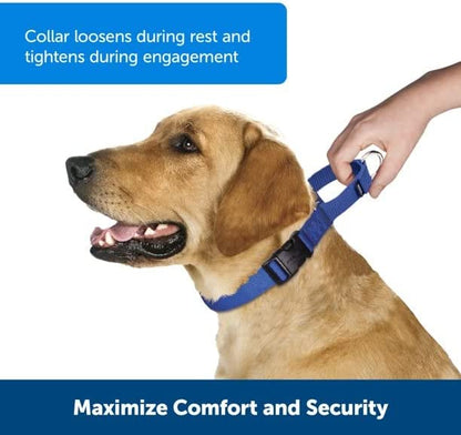 Premier Adjustable Martingale Collar/ Light Blue with multicolor flowers