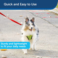 Load image into Gallery viewer, PetSafe Nylon - Traditional Style Leash/ RED
