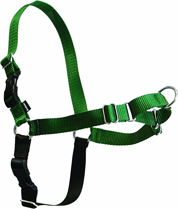 Premier Easy Walk Dog Harness, Green/Black