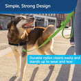 Load image into Gallery viewer, Premier Nylon Dog Leash/ Green
