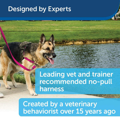 Easy Walk Dog Harness, No Pull Dog Harness/Royal Blue