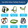 Load image into Gallery viewer, Premier Nylon Dog Leash/ Green
