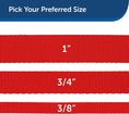 Load image into Gallery viewer, PetSafe Nylon - Traditional Style Leash/ RED
