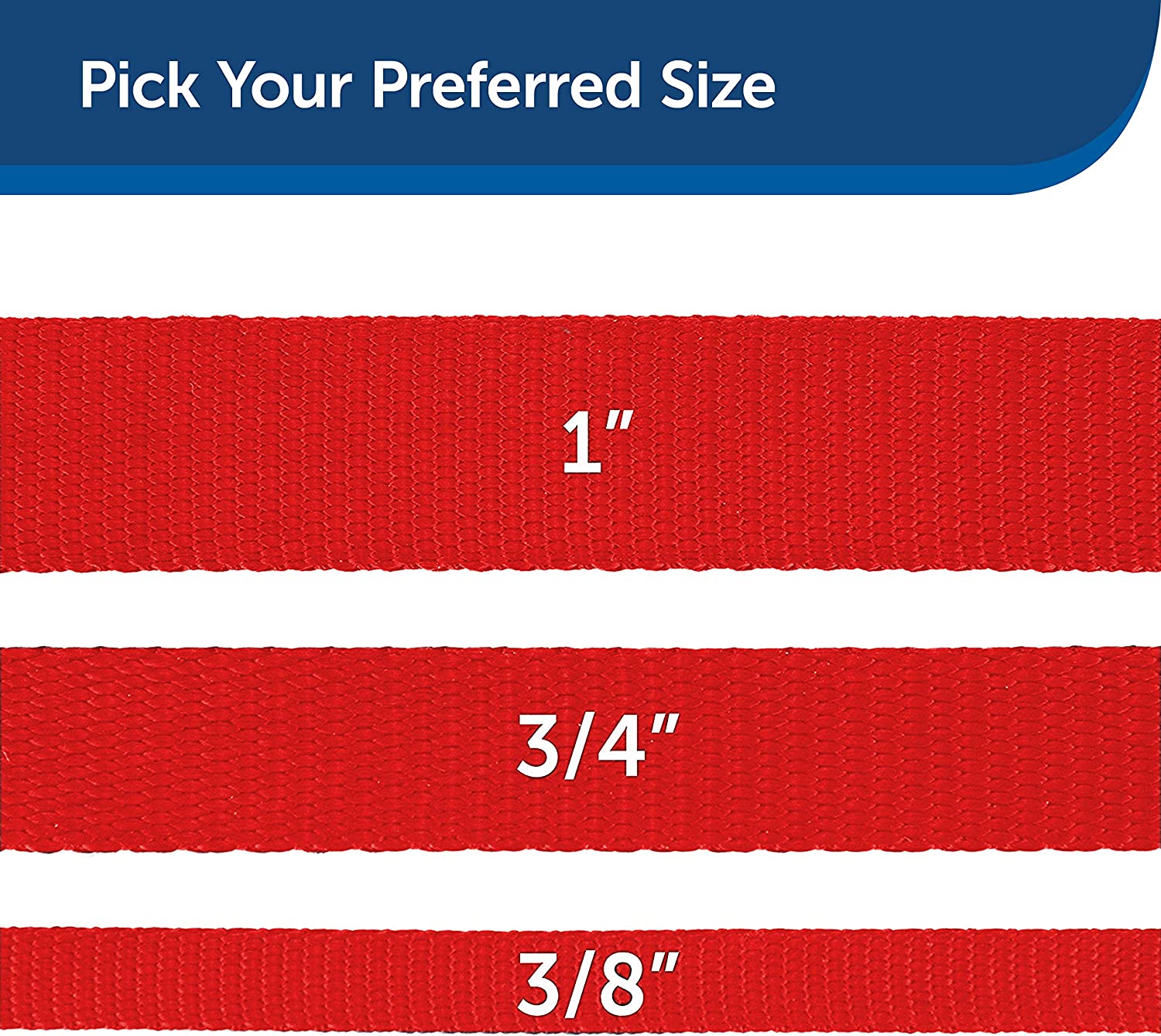 PetSafe Nylon - Traditional Style Leash/ RED