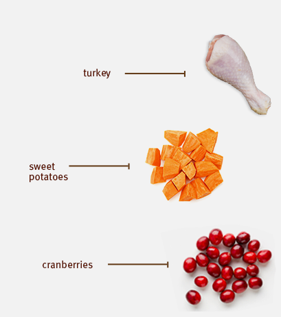 Sojos Complete Turkey & Salmon Recipe Senior